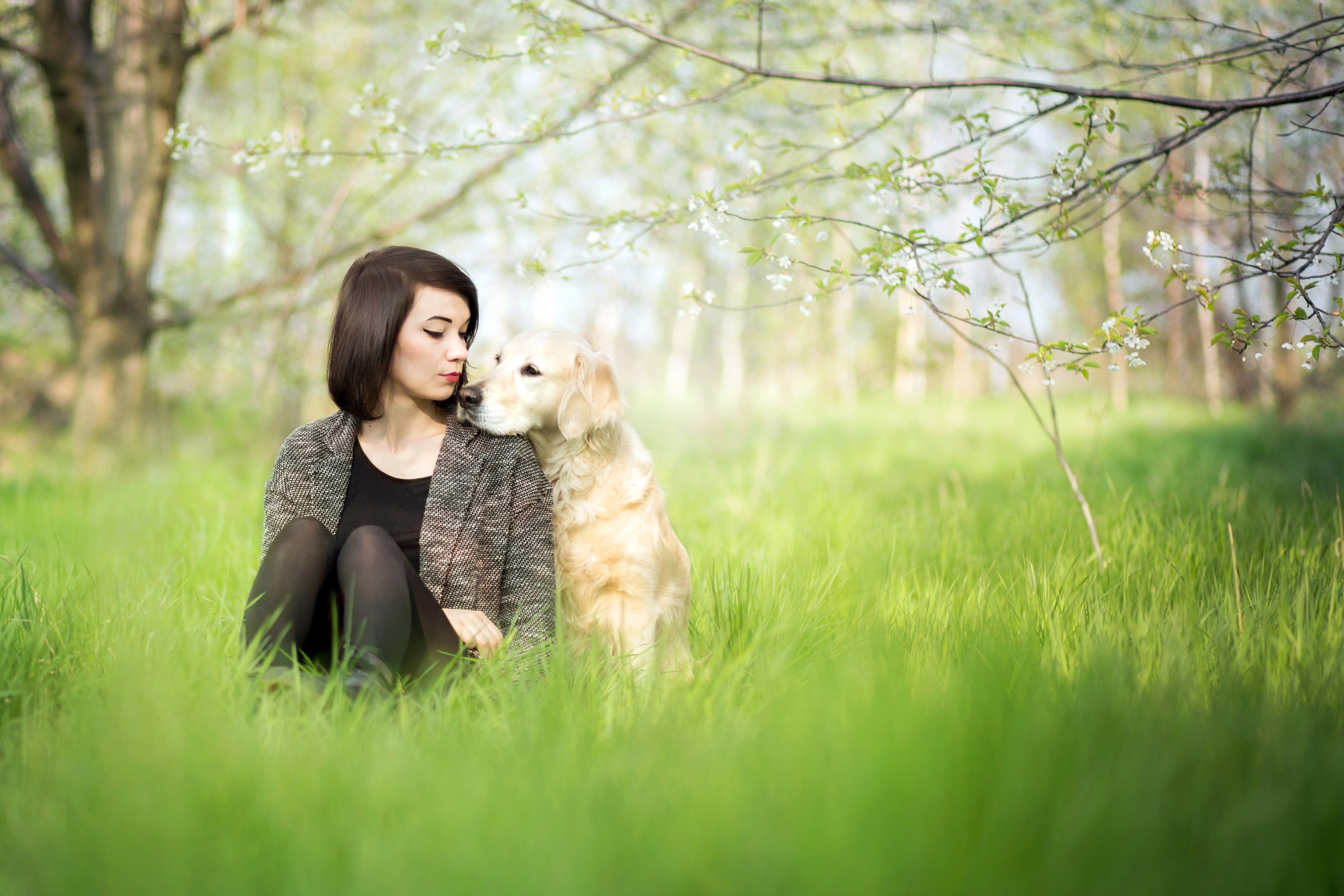 Картинка девушки с собакой. Женщина с собакой. Фотосессия с собакой. Девочка с собакой. Фотосессия с собакой на природе.