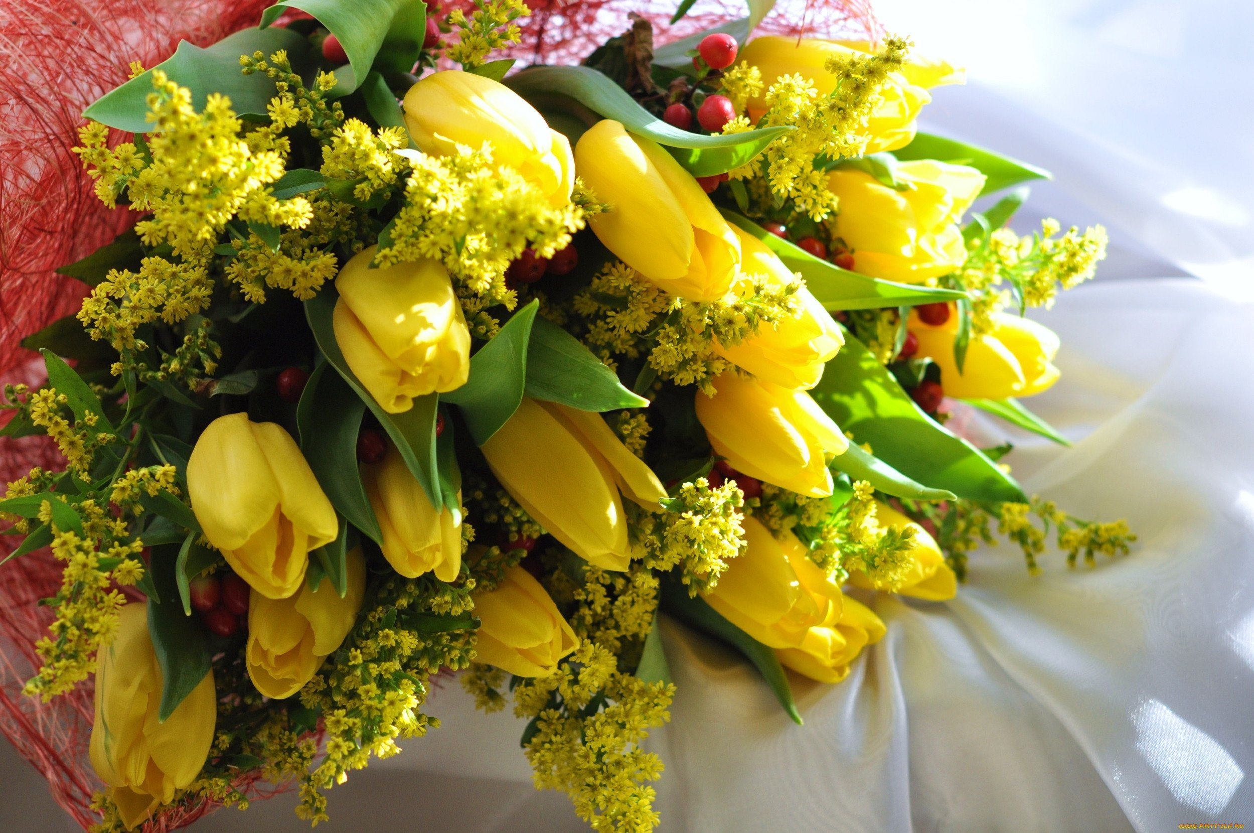 Мимоза фото цветов букеты. Весенний букет с мимозой и тюльпанами. Мимоза и тюльпаны.