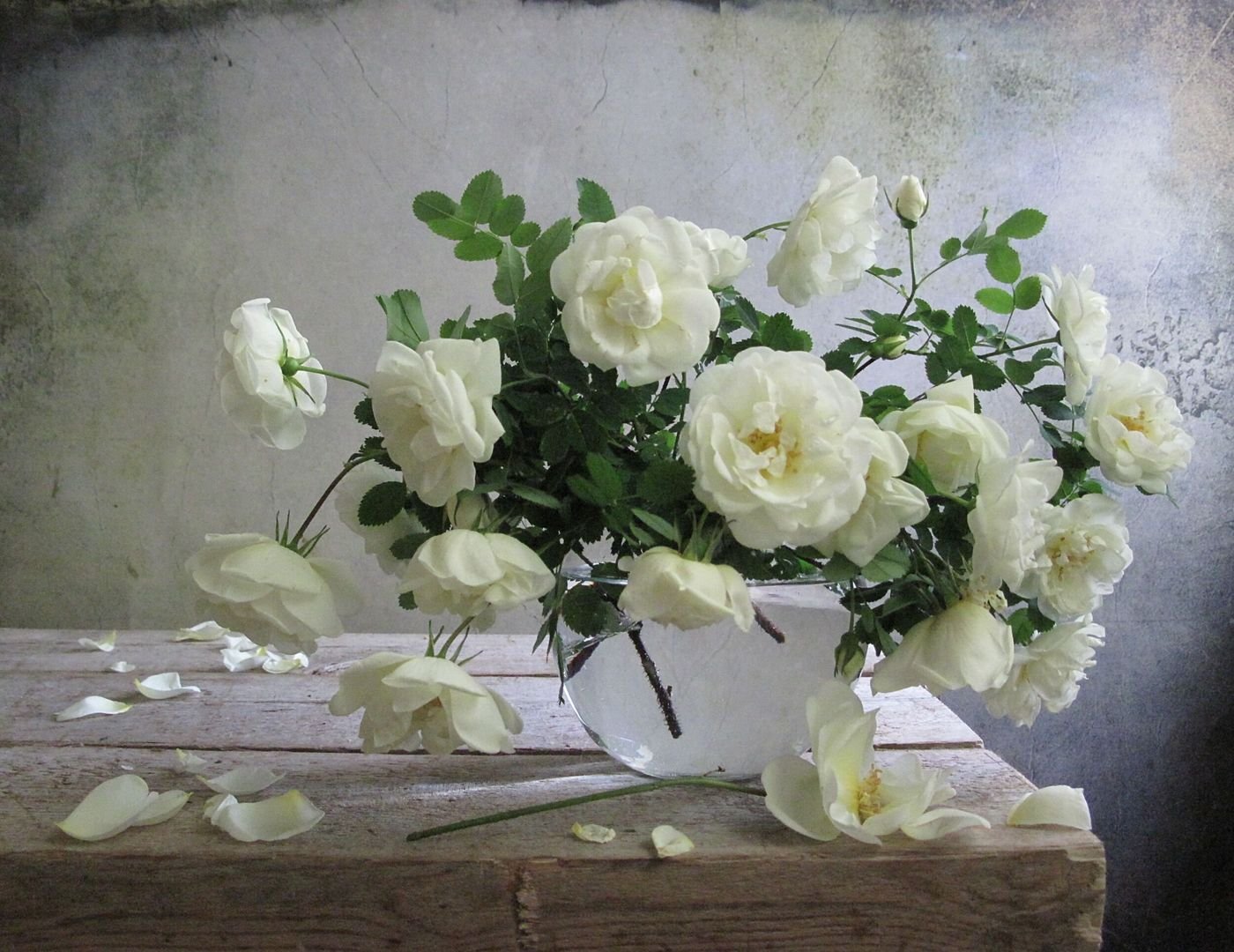 Букет Белых Роз На Окне