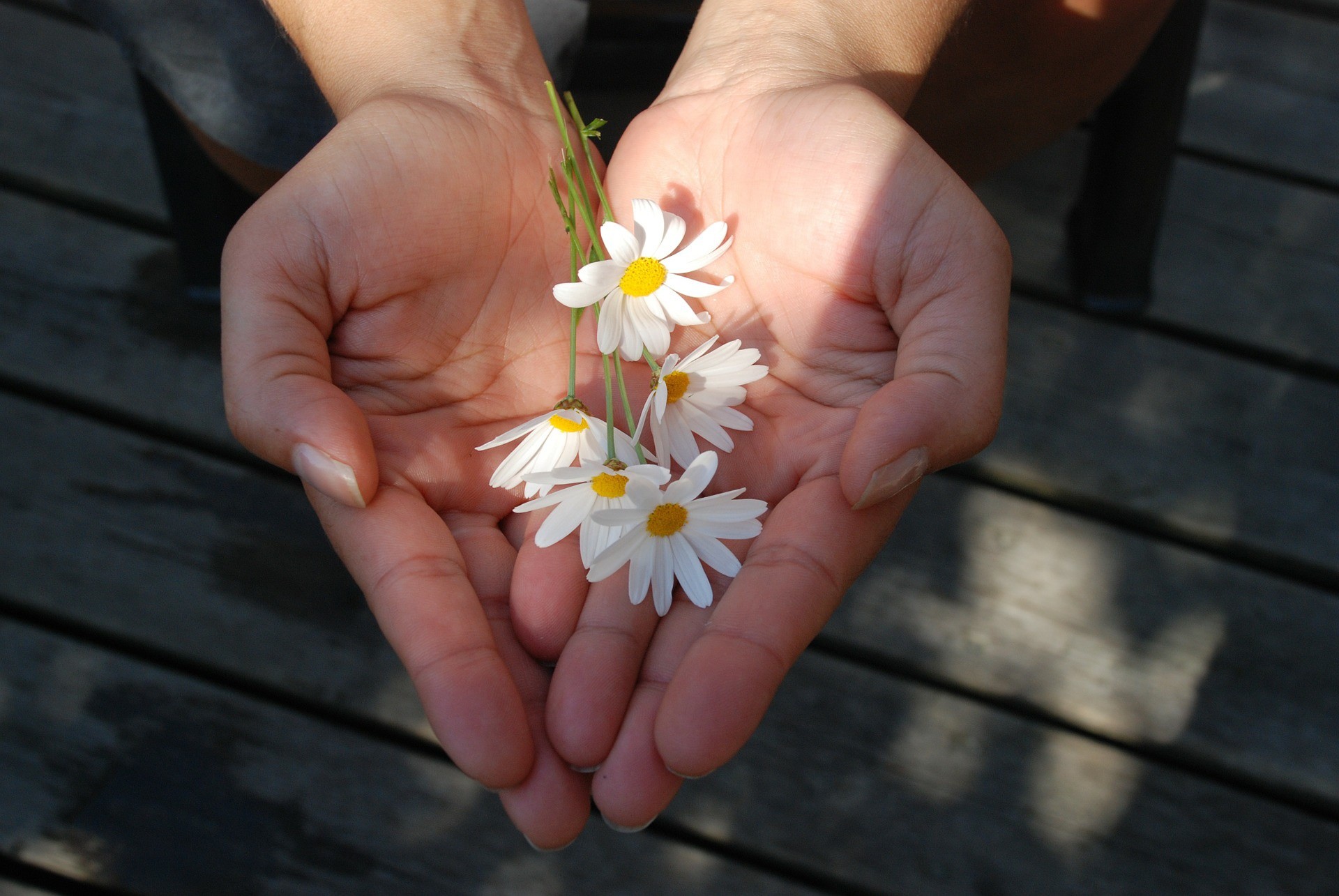 Фото рука в руке с цветами