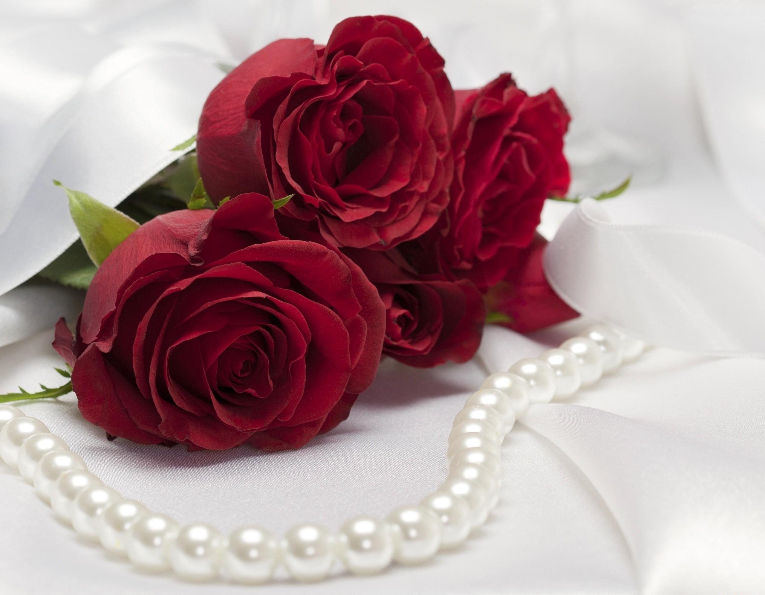 розы для любимой женщины красивой фото