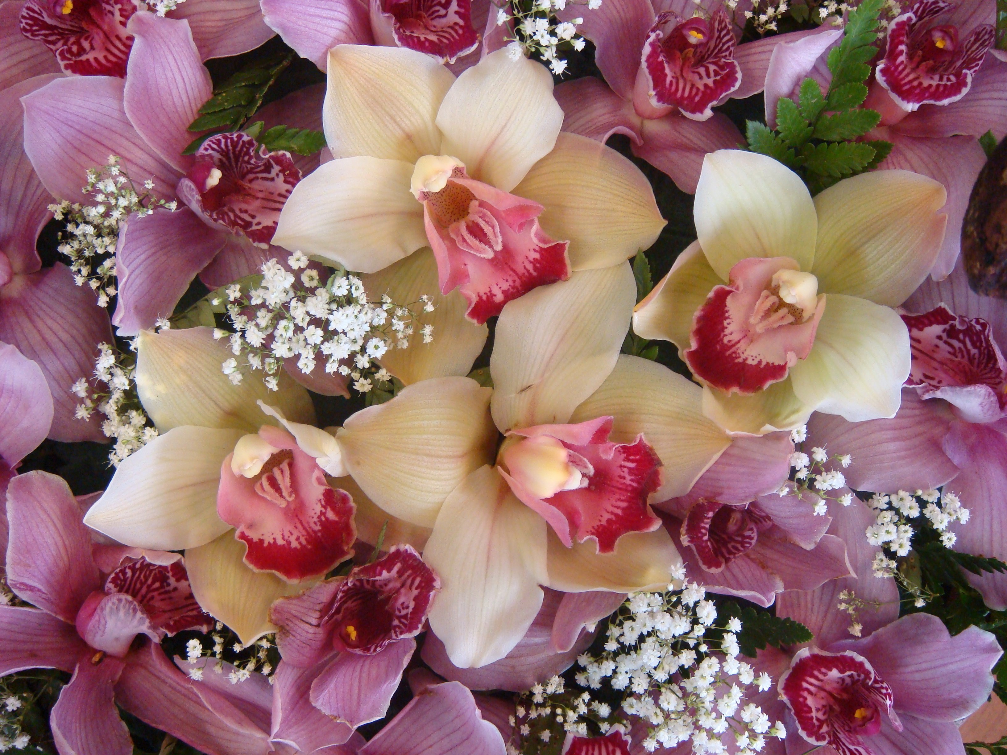 Букет с орхидеей. Роскошный букет. Шикарные цветы. Шикарный букет цветов.