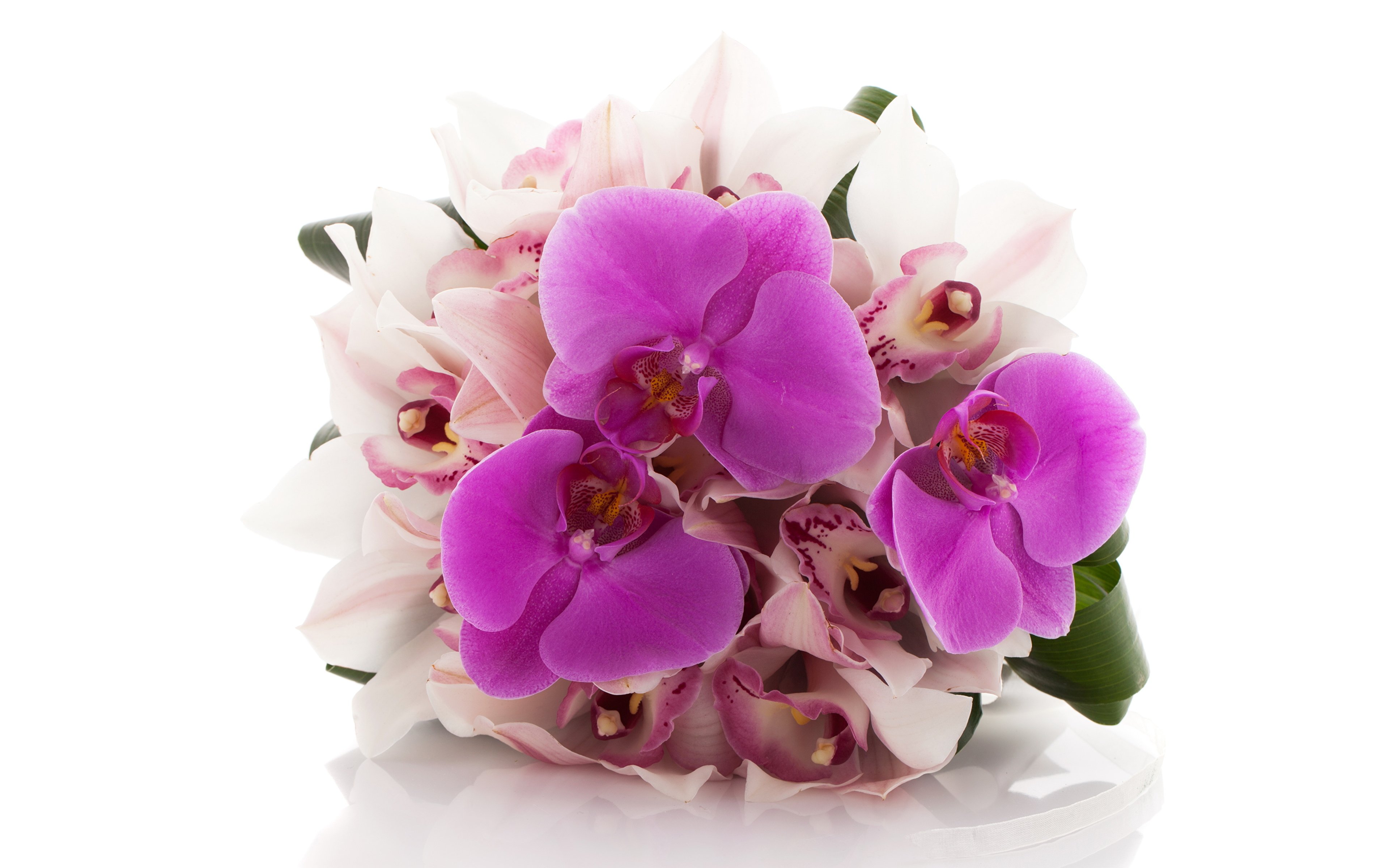 Букеты из орхидей фото с днем рождения