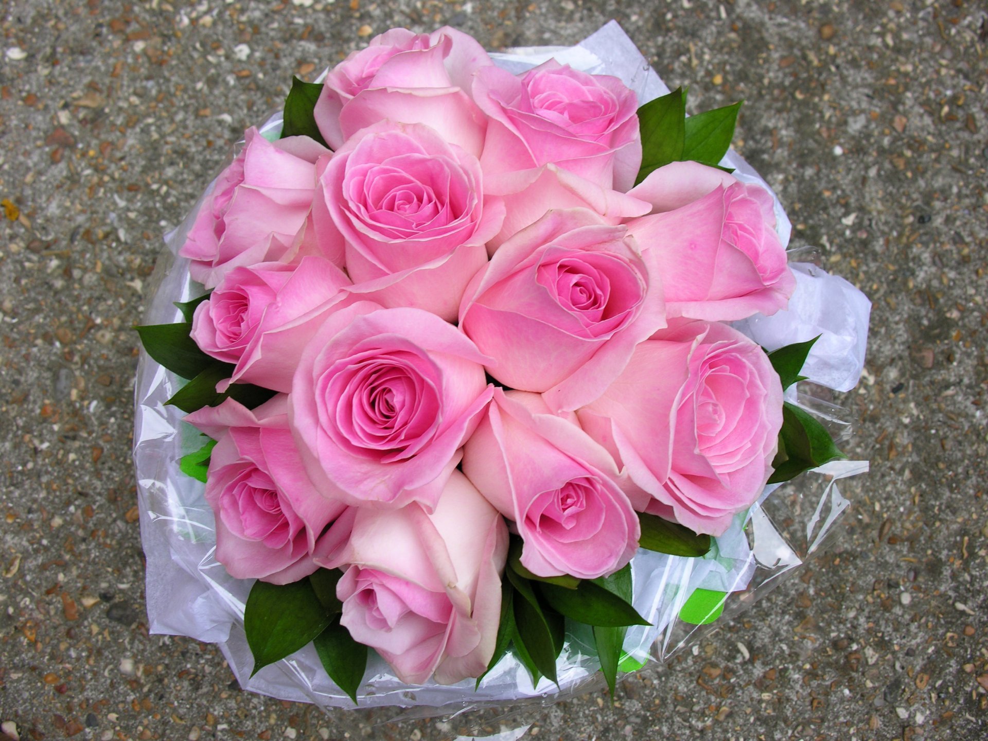 Фото букетов из роз фото красивые