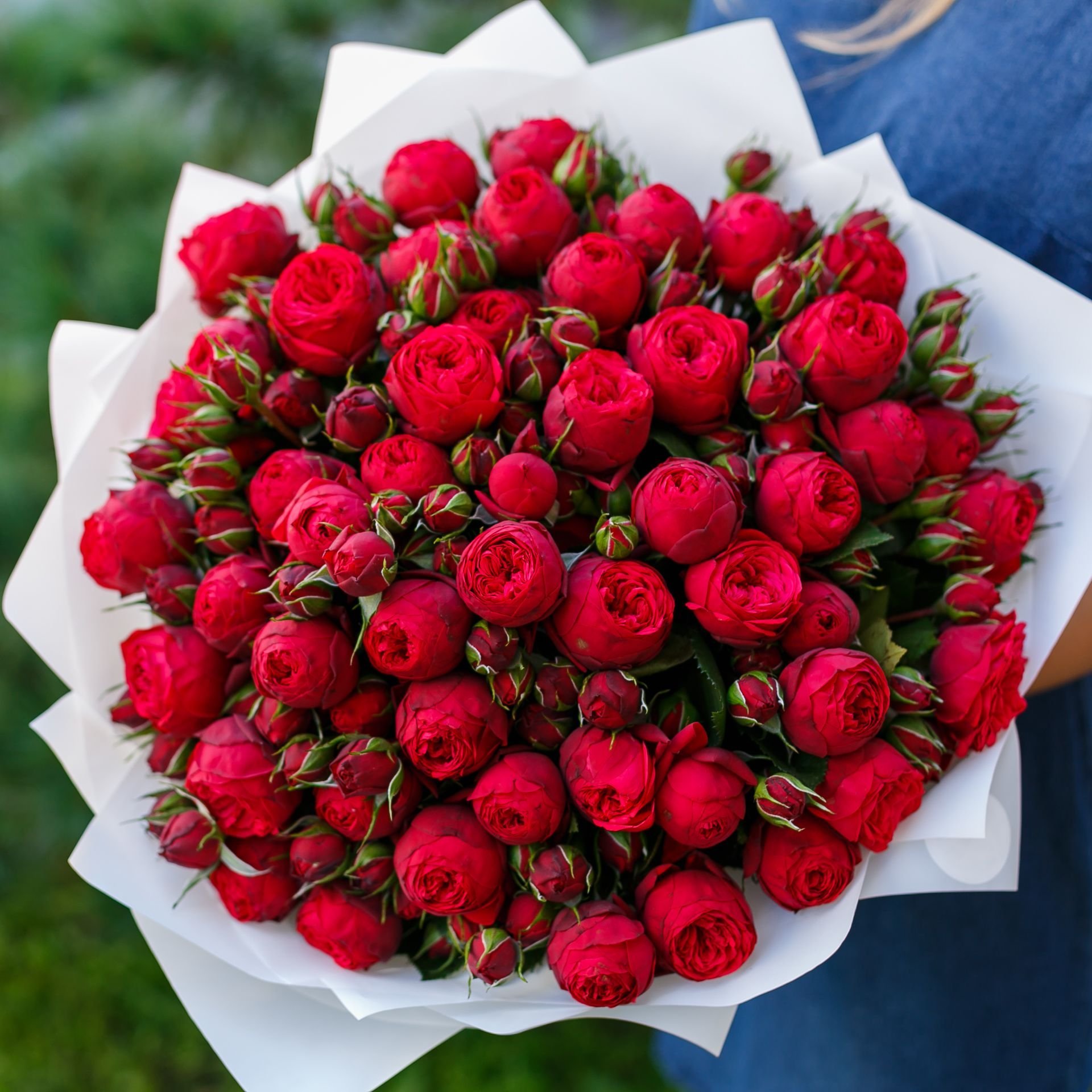 Букет красных пионовидных роз фото