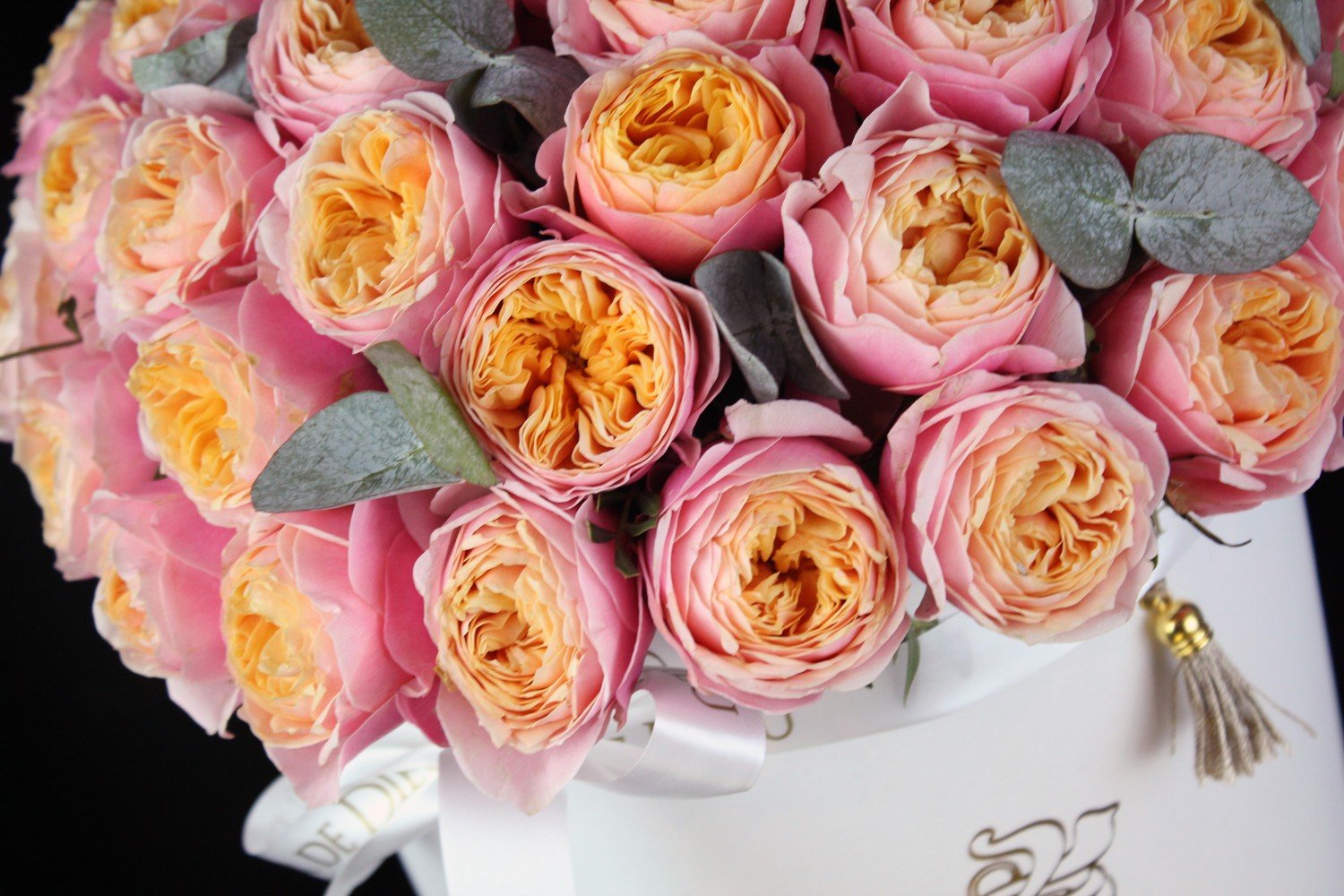 Фото пионовидные розы в хорошем качестве
