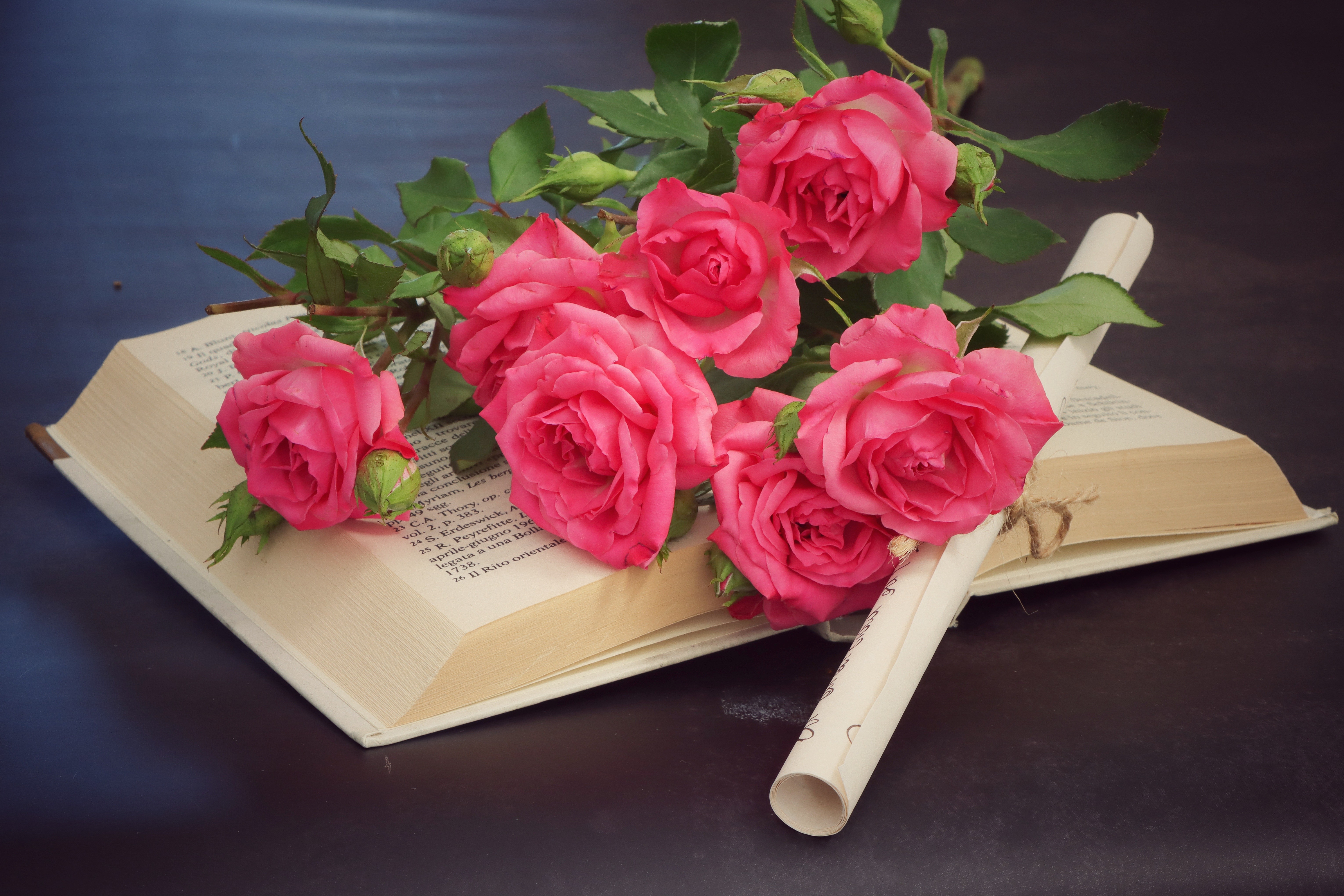 Красивые книги и розы