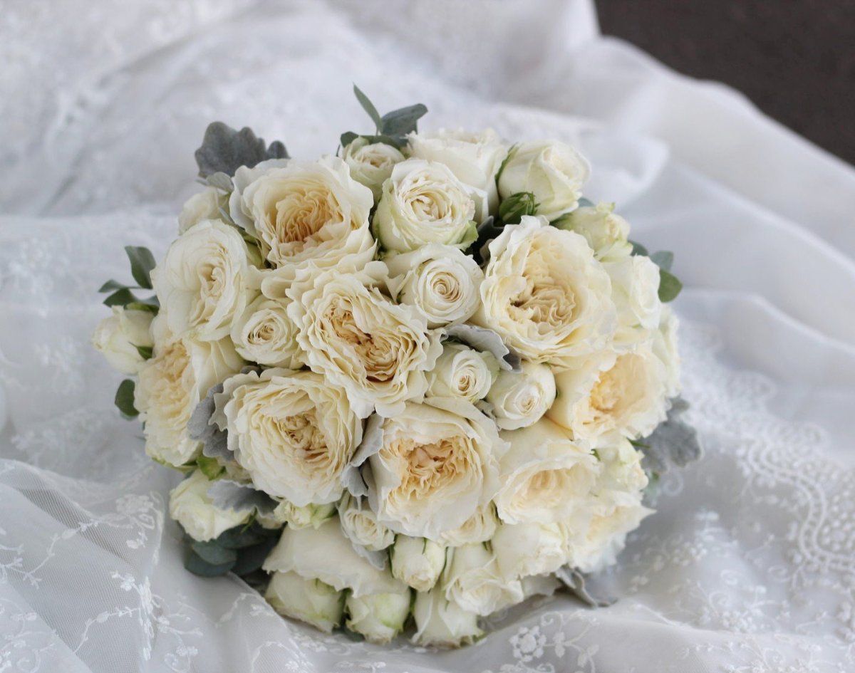 Белая кустовая пионовидная роза