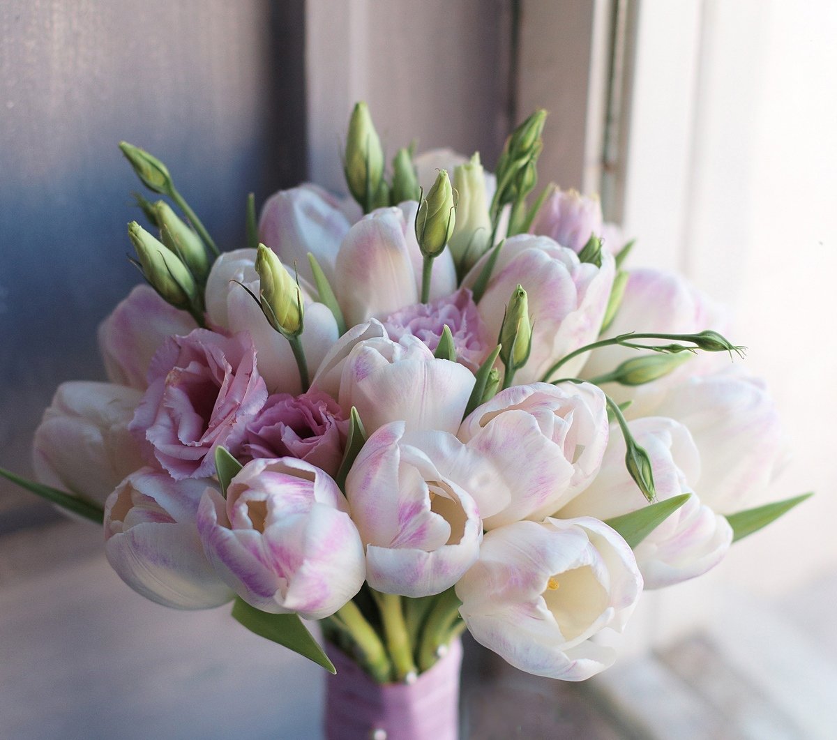 фото нежных тюльпанов