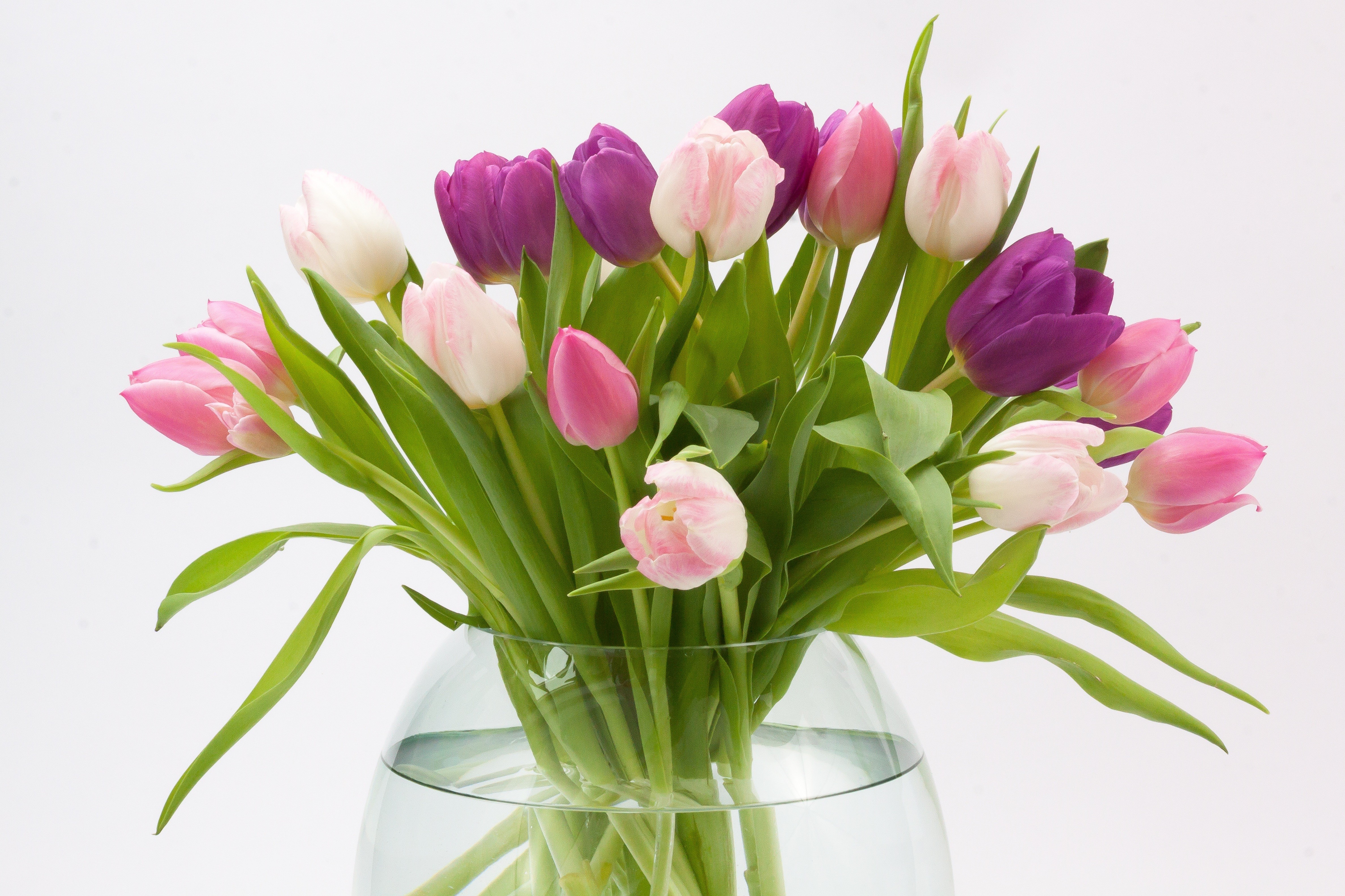 Как сохранить дольше свежие тюльпаны в вазе. Букет весенних цветов. Букет тюльпанов. Красивый букет весенних цветов. Весенний букет тюльпанов.