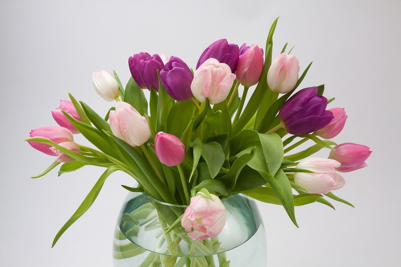 Весенние тюльпаны картинки красивые. Цветы тюльпаны букет. Тюльпан Денмарк. Весенний букет. Красивый весенний букет.