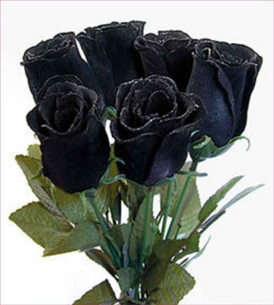 Траурные черные розы