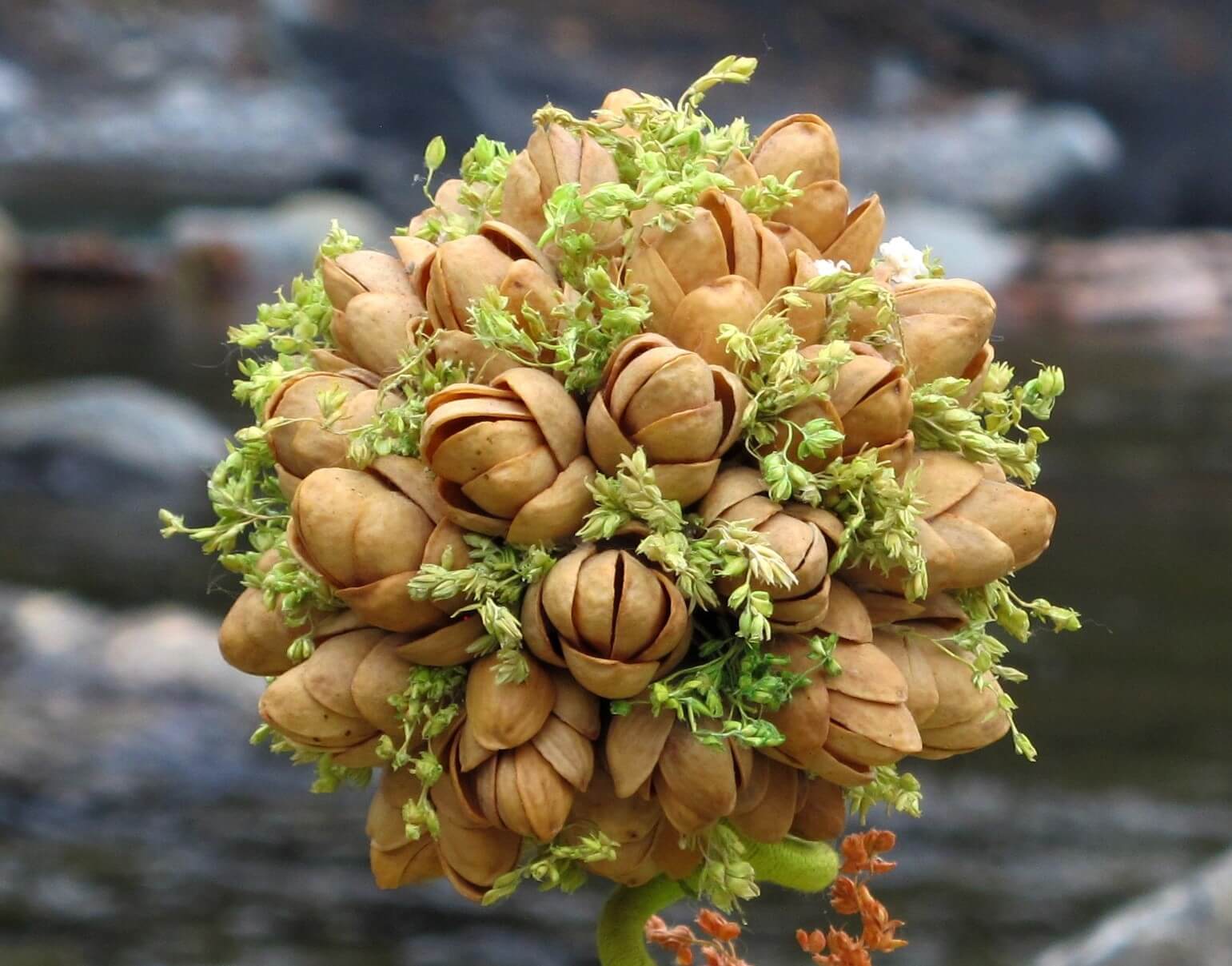 Цветы из орехов