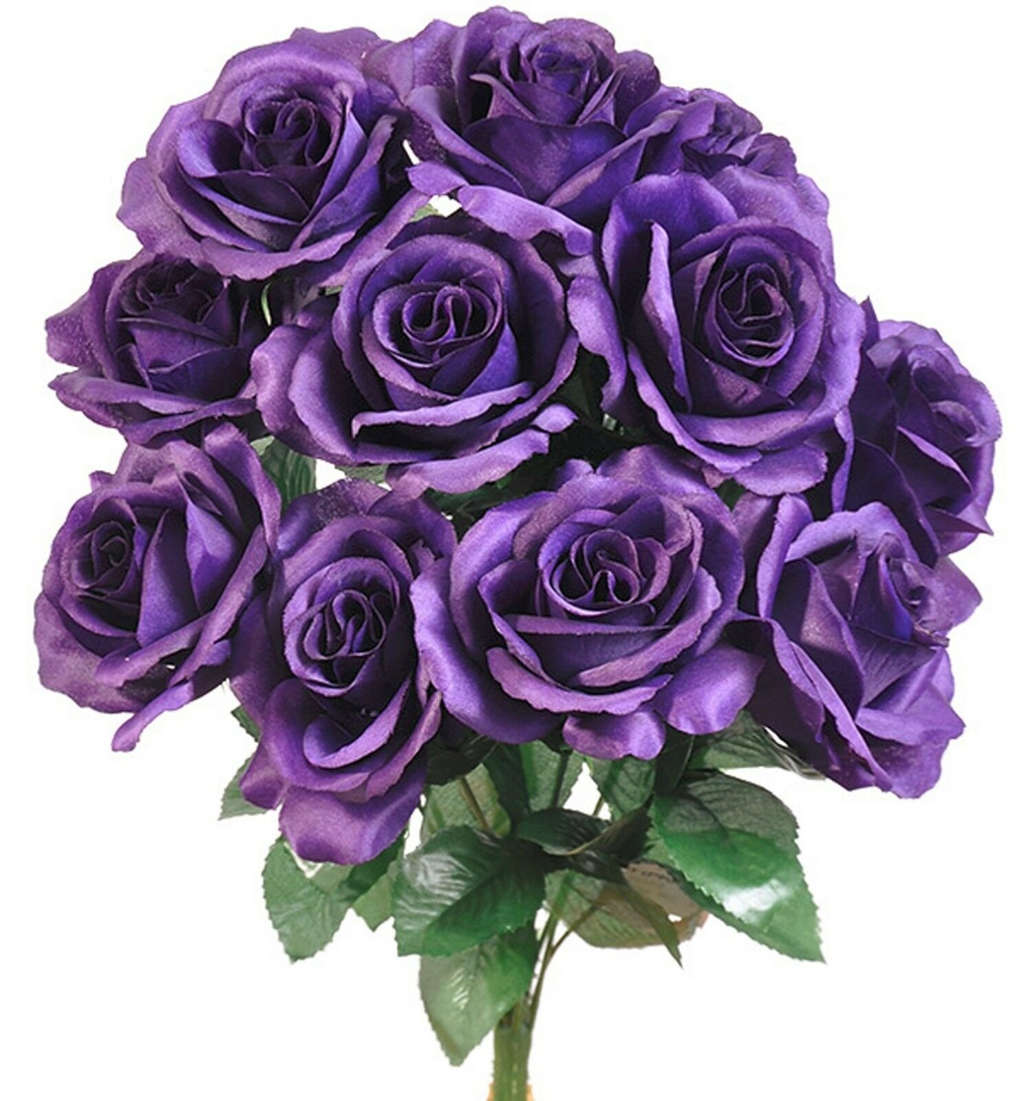 Белые розы фиолетовый