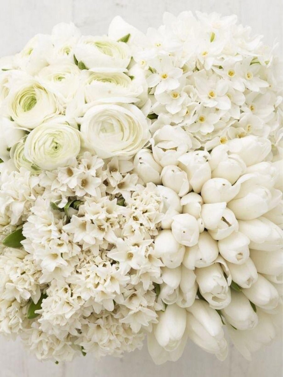 Фото белого цвета. Белые цветы. Букет белых цветов. Красивый белый букет. Большие белые цветы.