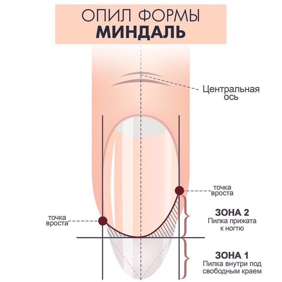 Какие бывают формы ногтей при маникюре фото и названия