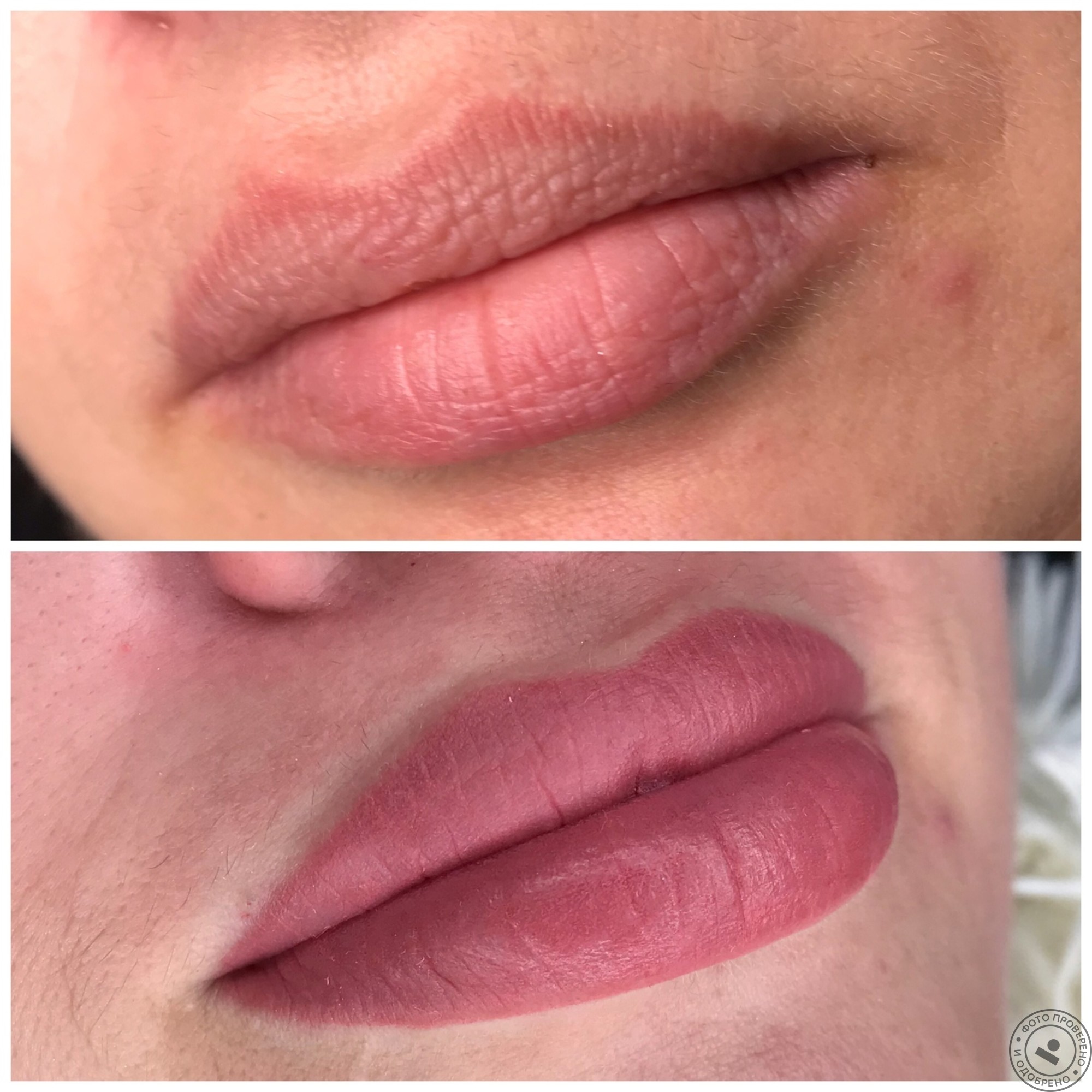 Акварельные губы до и после. Перманент напыление губы. Пудровые губы. Татуаж губ. Акварельные губы перманентный макияж.