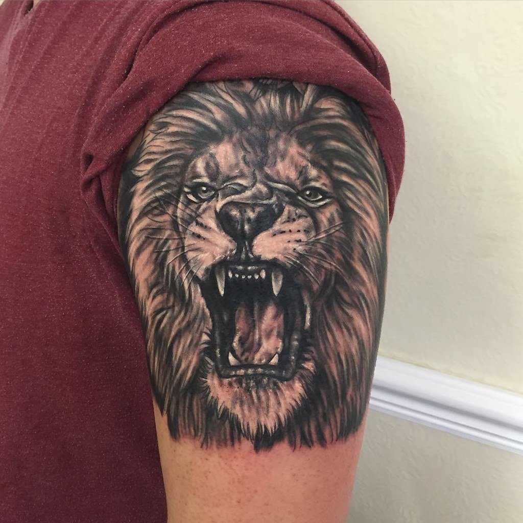 Татуировки оскал льва, временные, купить, цена, интернет магазин